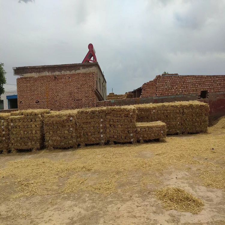 宁夏小黄片下载安装子 宁夏小黄片下载安装子