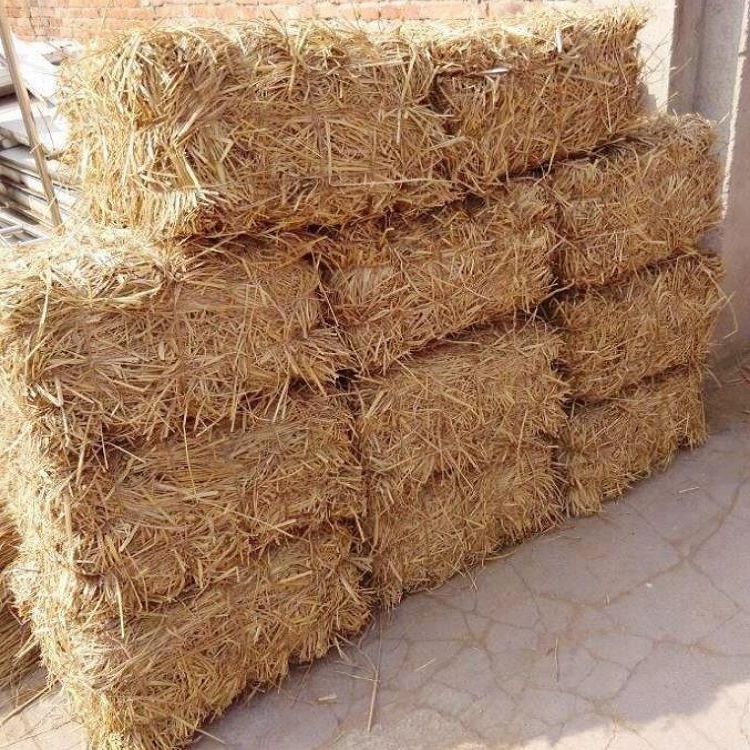 宁夏草支垫 宁夏草支垫